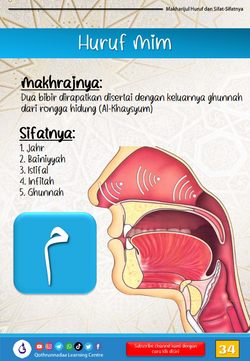 hilokal-notebook-image