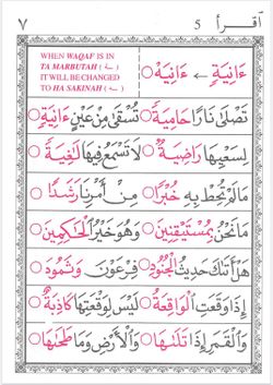 hilokal-notebook-image