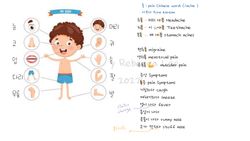 hilokal-notebook-image