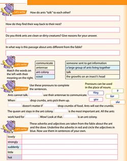 hilokal-notebook-image
