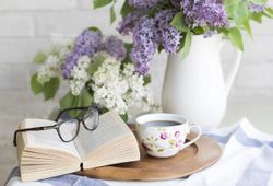 hilokal-notebook-image