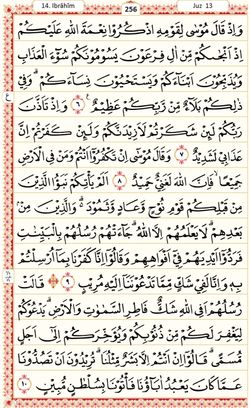 hilokal-notebook-image