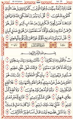 hilokal-notebook-image