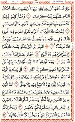 hilokal-notebook-image