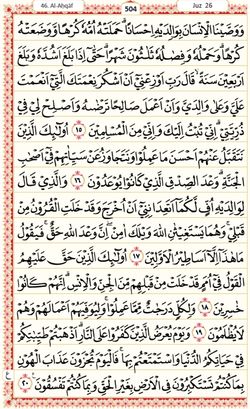 hilokal-notebook-image