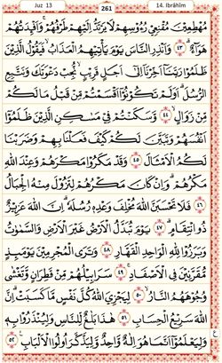 hilokal-notebook-image