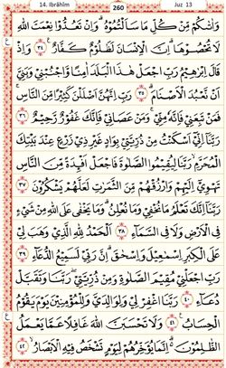 hilokal-notebook-image