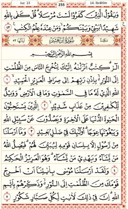 hilokal-notebook-image
