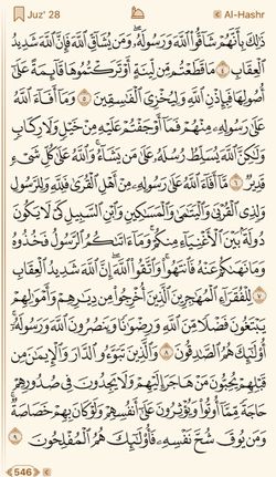 hilokal-notebook-image