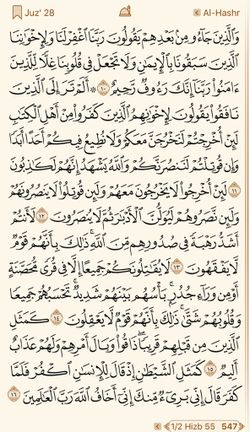 hilokal-notebook-image