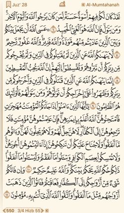 hilokal-notebook-image