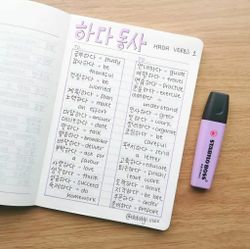 hilokal-notebook-image
