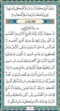 hilokal-notebook-image
