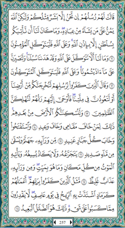 hilokal-notebook-image