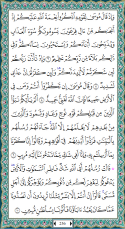 hilokal-notebook-image