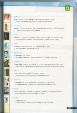 hilokal-notebook-image