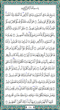 hilokal-notebook-image