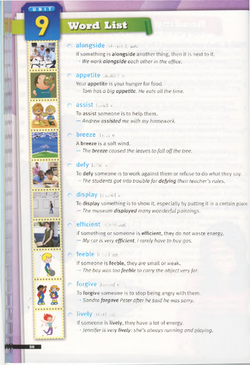 hilokal-notebook-image