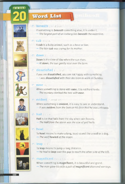 hilokal-notebook-image