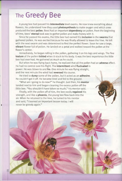 hilokal-notebook-image