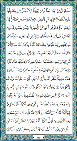 hilokal-notebook-image