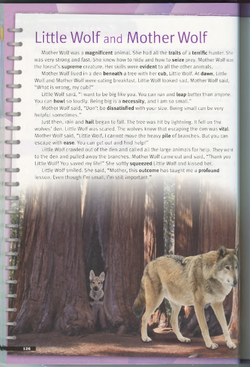 hilokal-notebook-image