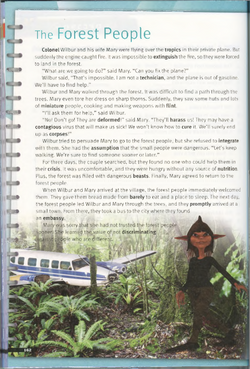 hilokal-notebook-image