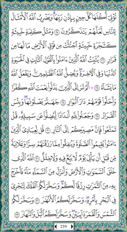 hilokal-notebook-image
