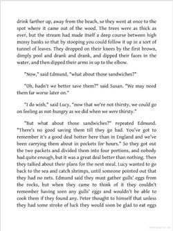 hilokal-notebook-image