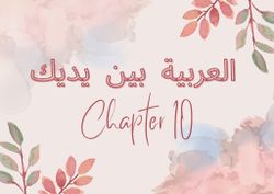 hilokal-notebook-image