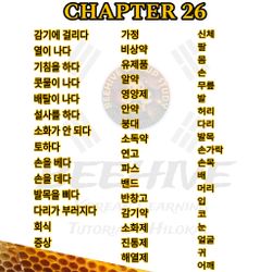 hilokal-notebook-image