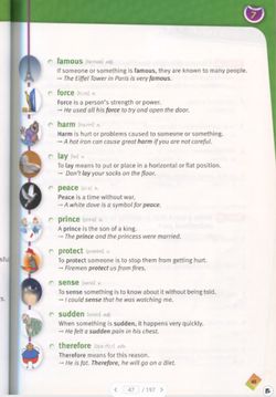 hilokal-notebook-image