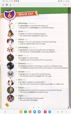hilokal-notebook-image