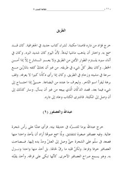 hilokal-notebook-image