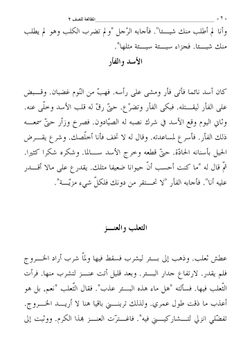 hilokal-notebook-image