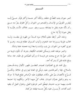 hilokal-notebook-image