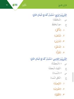 hilokal-notebook-image