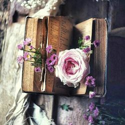 hilokal-notebook-image