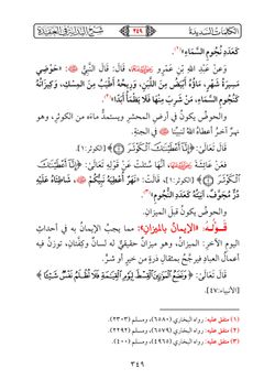hilokal-notebook-image