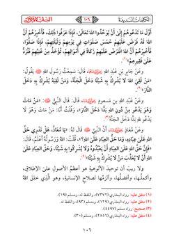 hilokal-notebook-image