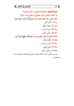 hilokal-notebook-image