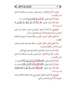 hilokal-notebook-image