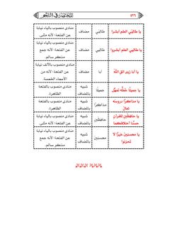 hilokal-notebook-image