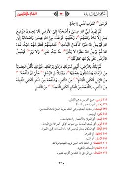 hilokal-notebook-image