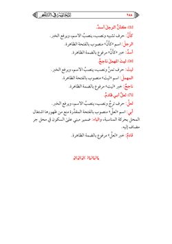 hilokal-notebook-image