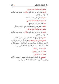 hilokal-notebook-image