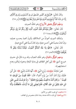 hilokal-notebook-image