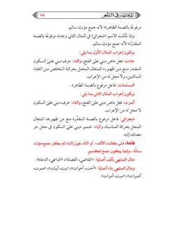 hilokal-notebook-image