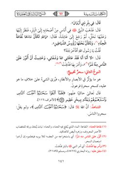 hilokal-notebook-image