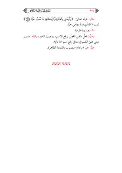 hilokal-notebook-image